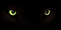 eyesusings.gif